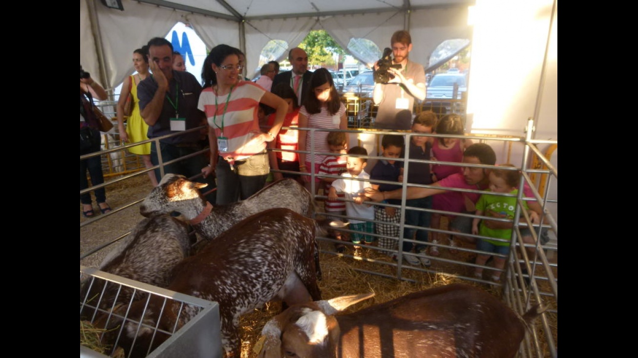 Visita a la carpa de ganadería del taller de animales de granja