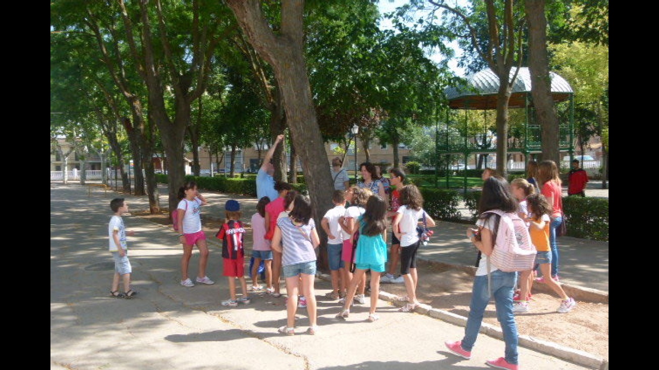 José Luis Olmo explica detalle de un árbol del Paseo del Río