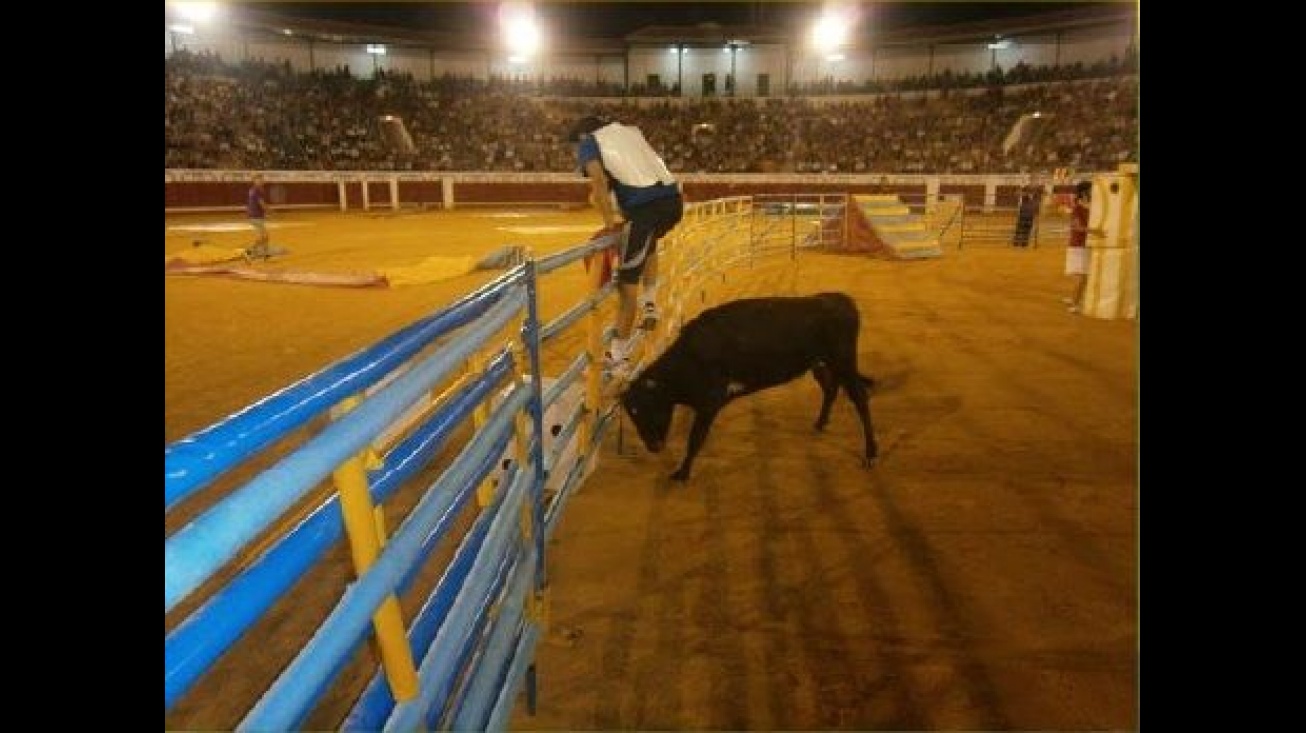 La vaquilla, protagonista del Grand Prix