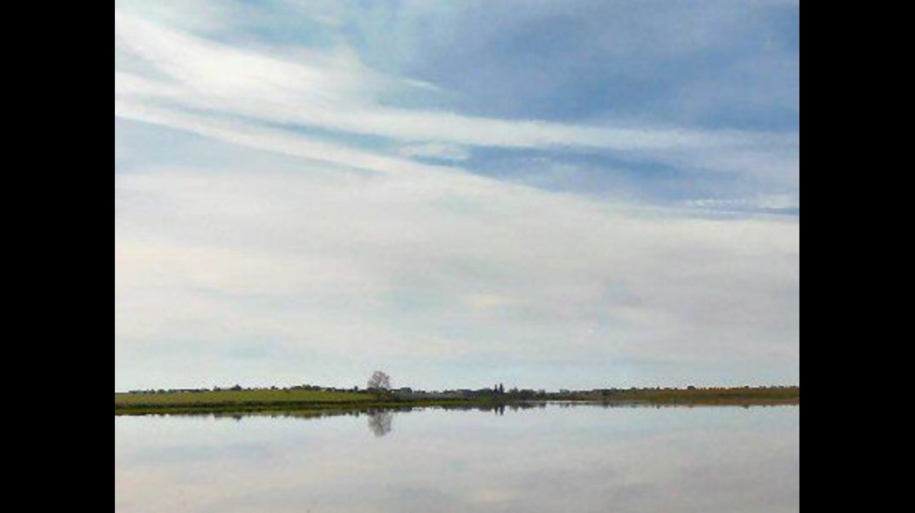 Vista de los alrededores de los molinos de Daimiel. Foto: David Gª de Dionisio