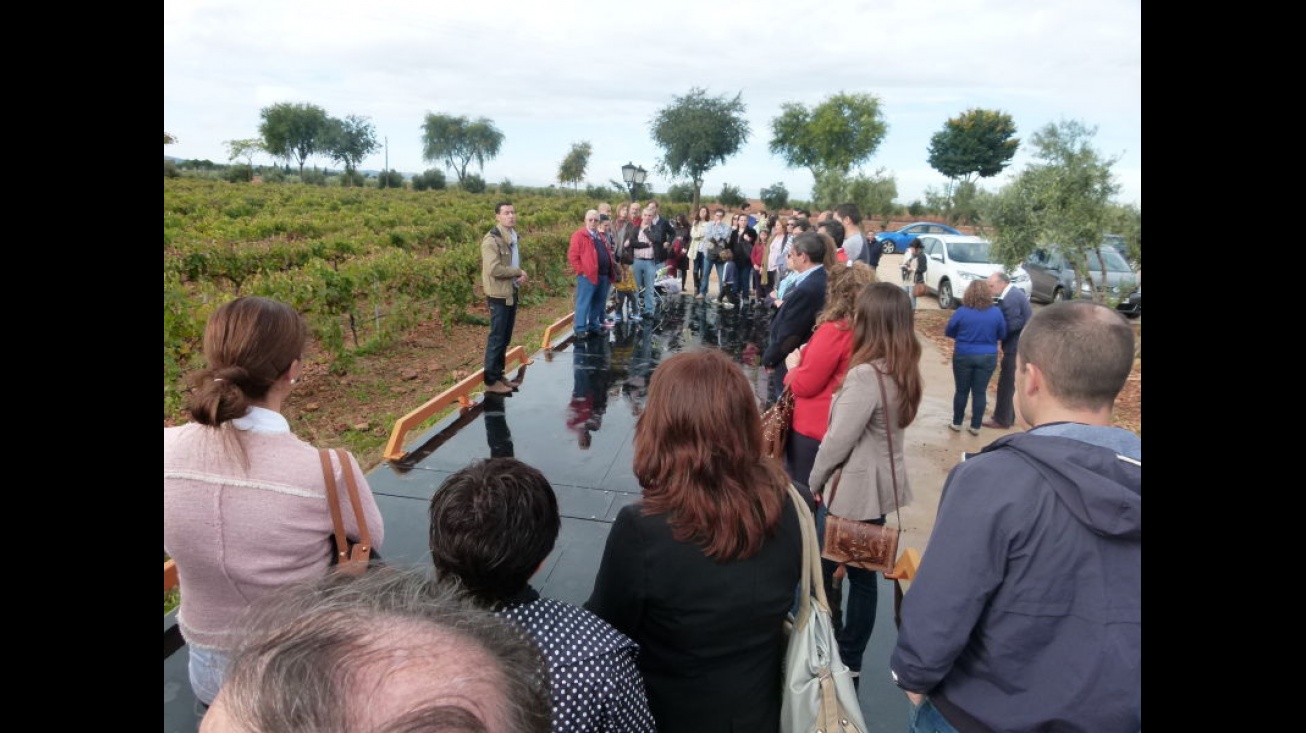 Más de 50 personas visitaron Pago Casa del Blanco con motivo de la Cumbre del Vino de CLM