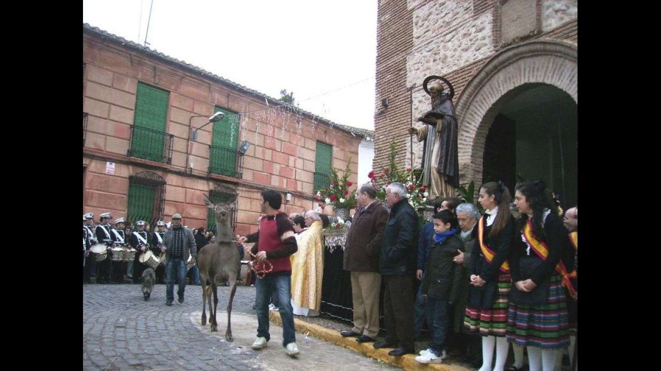 Bendición de animales en pasadas ediciones de las fiestas