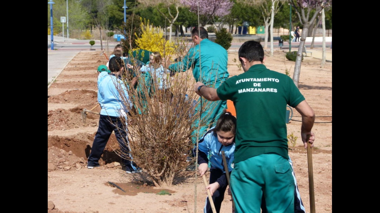 Plantación realizada por alumnado del CEIP "La Candelaria"