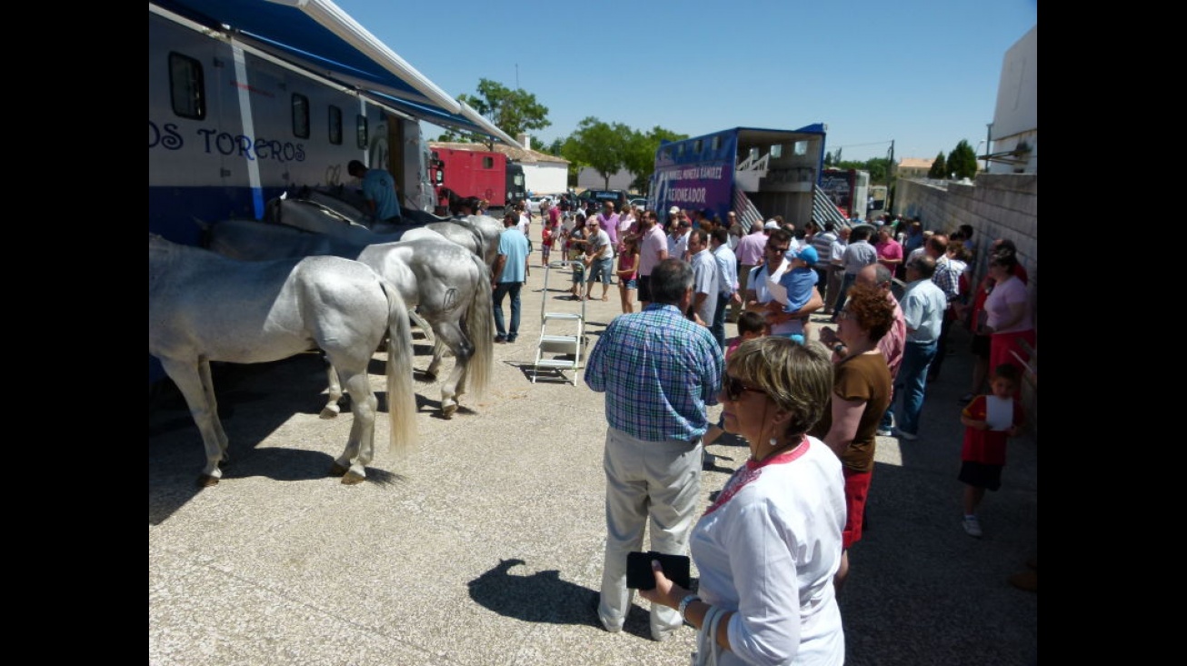 A mediodía habrá un recorrido guiado mientras se preparan los caballos