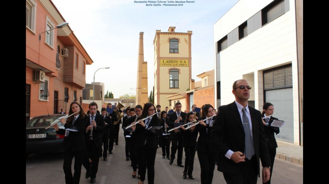 Pasacalles de Santa Cecilia 2014