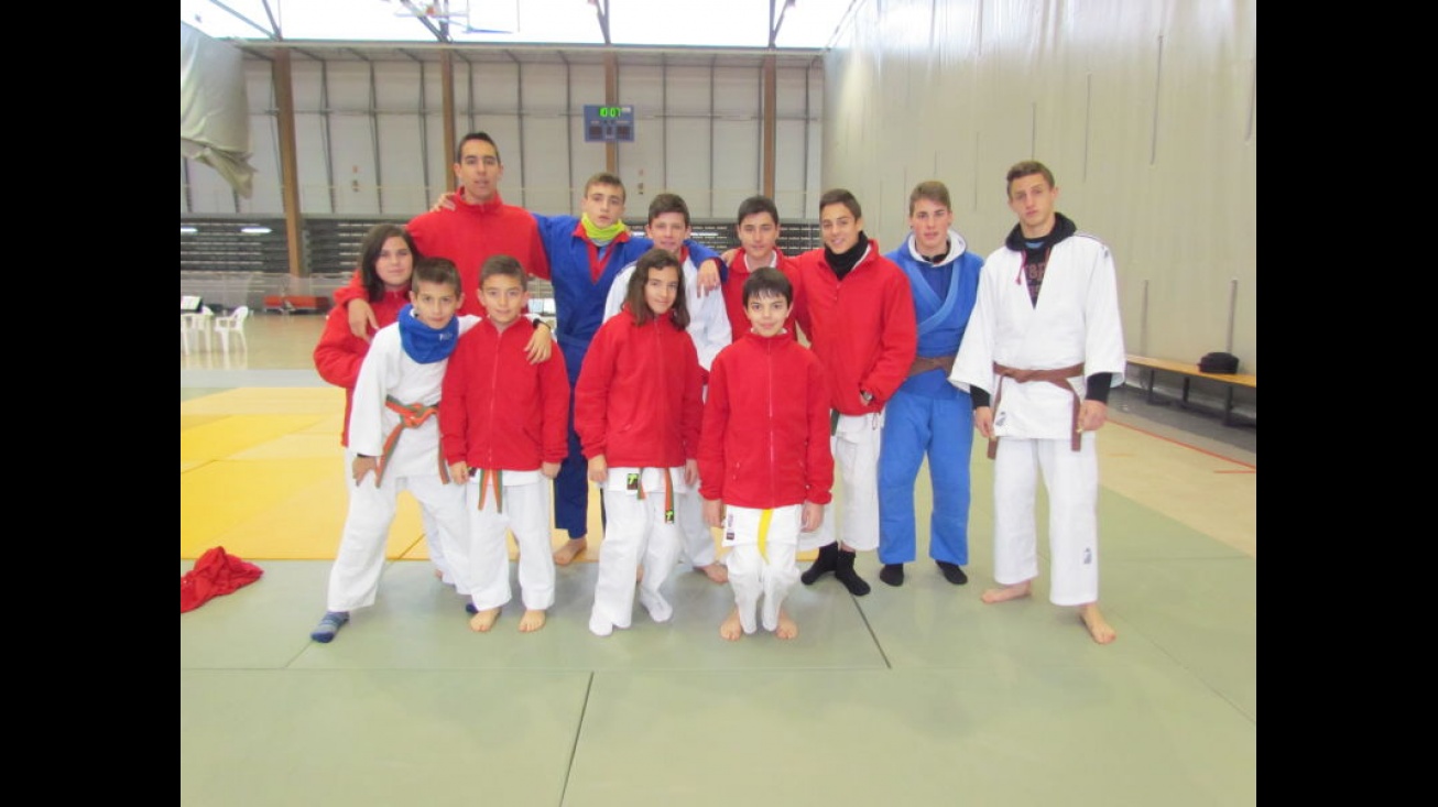 Competidores de la Escuela de Judo de Manzanares en una de las fases del deporte escolar