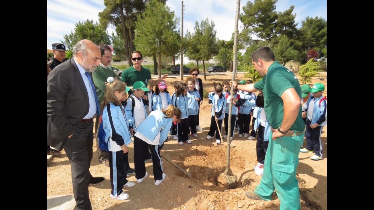 Momento de la plantación de árboles