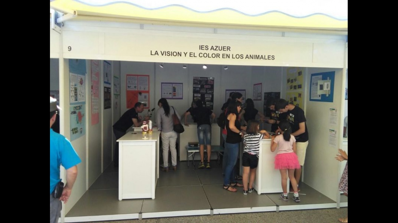 Stand del IES Azuer en la feria científica