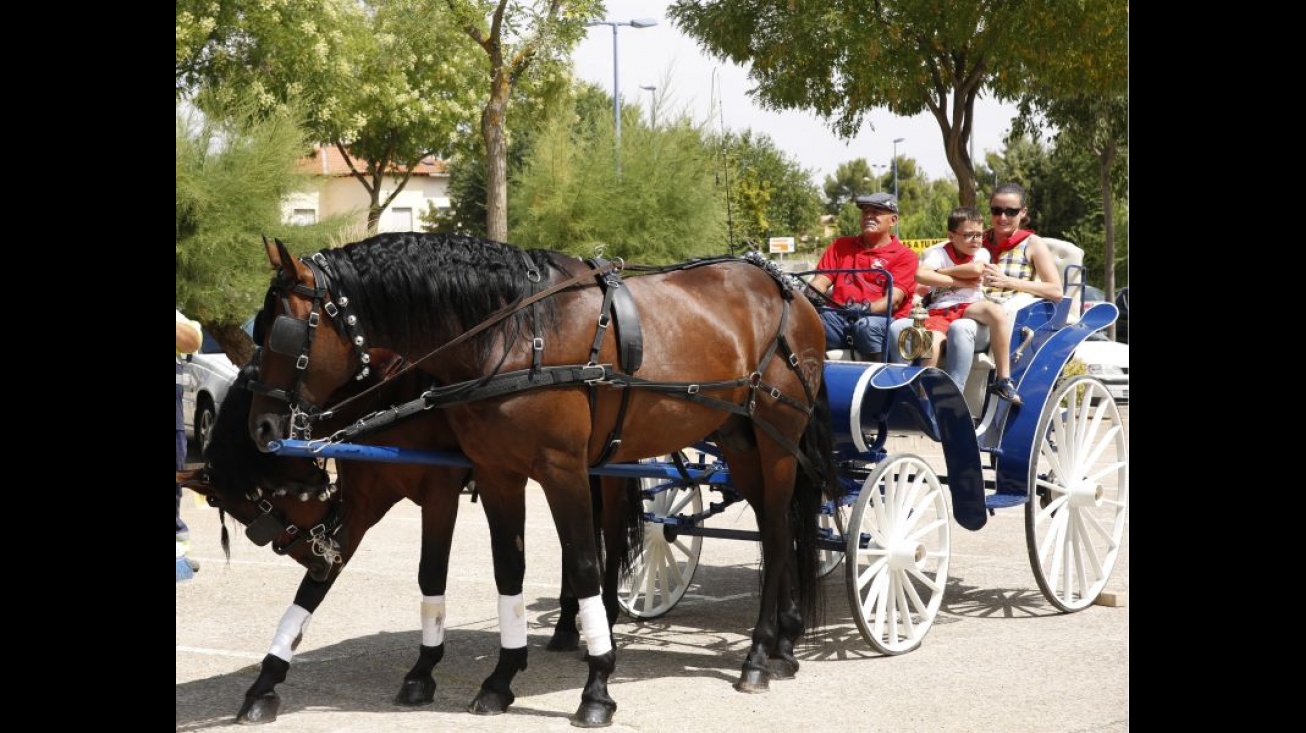 Paseo en carruaje de caballos en el "Día del Caballo"