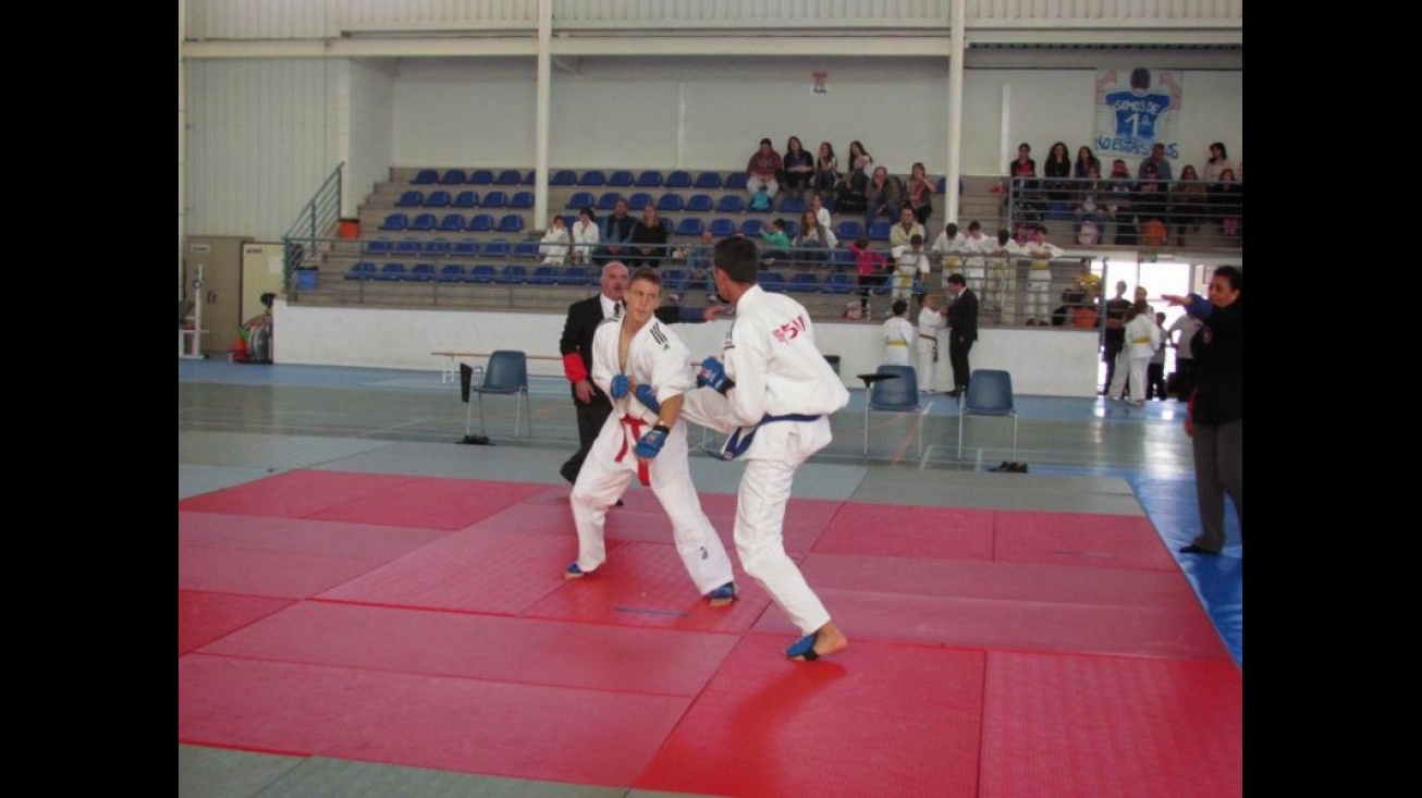 Prueba de kumite en el regional de 2015