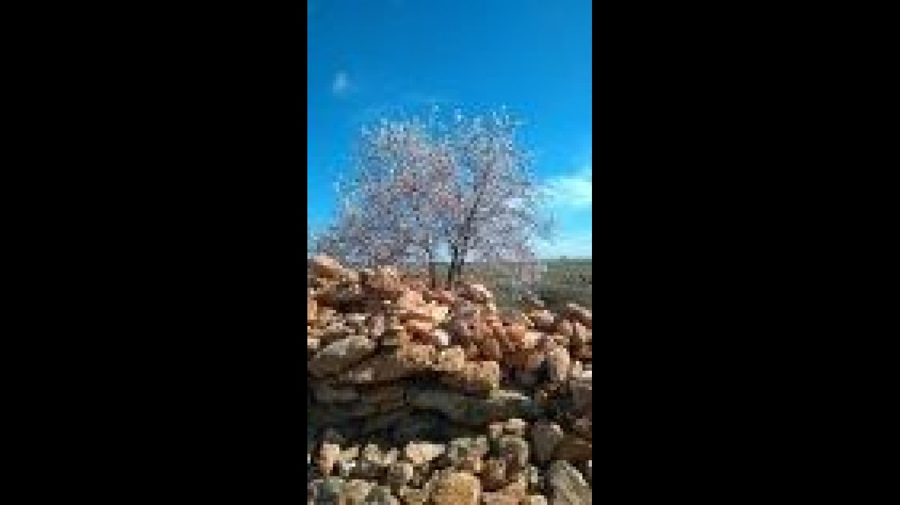 Primer premio concurso de fotografía "Rincones Naturales" de Manzanares