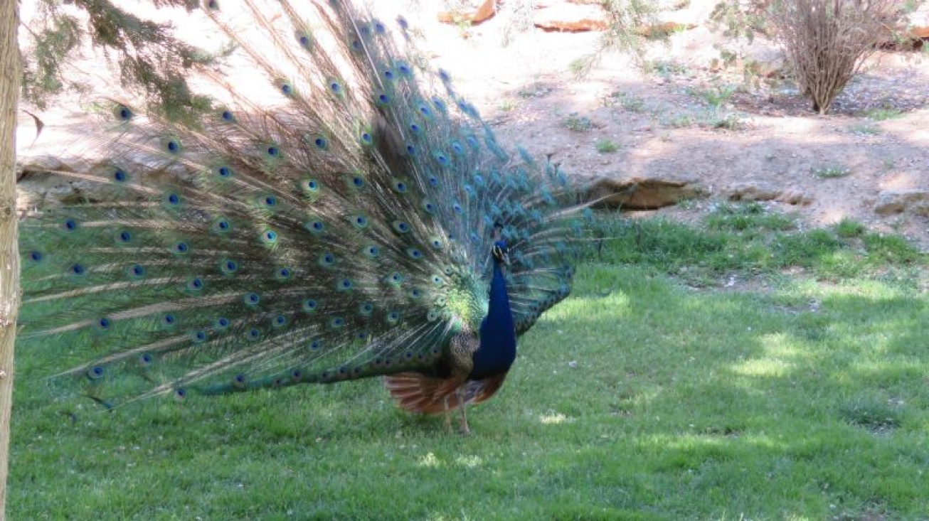 Parque del polígono en Manzanares