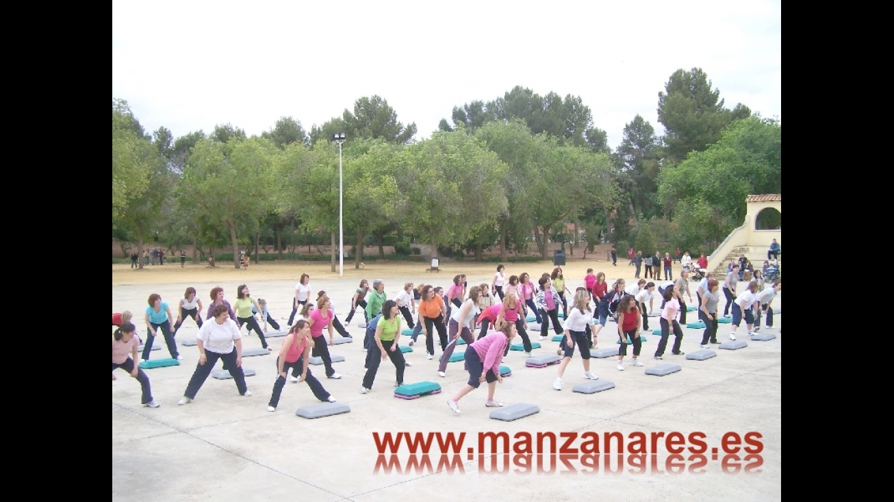 Exhibición del curso 2008-2009