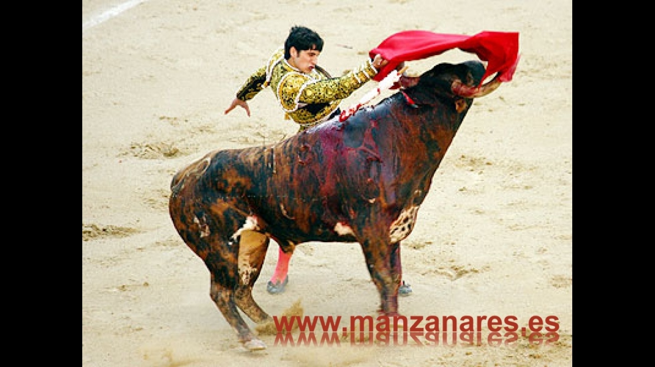 Rubén Pinar, triunfador de San Isidro 2009 torea este domingo en Manzanares