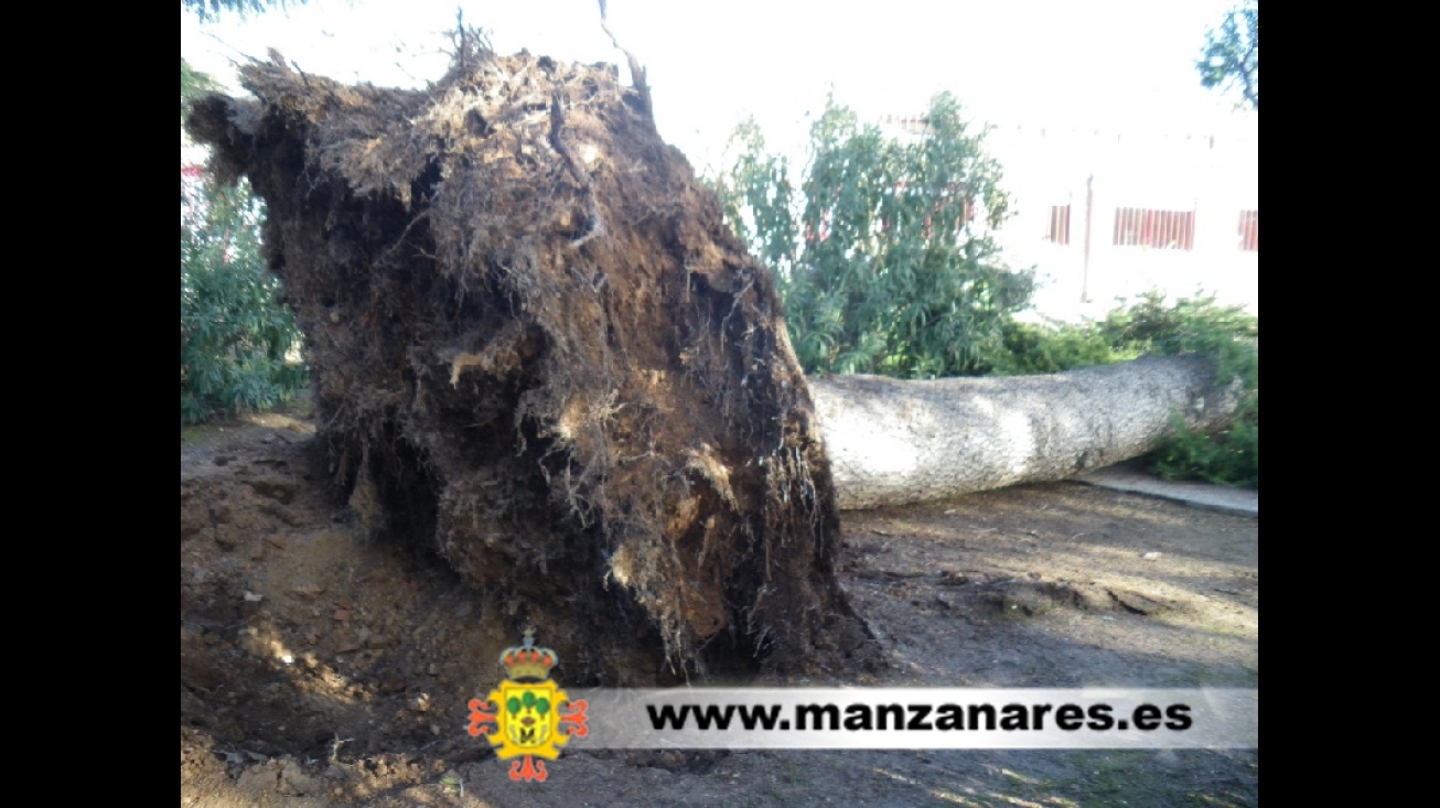 Temporal en Manzanares