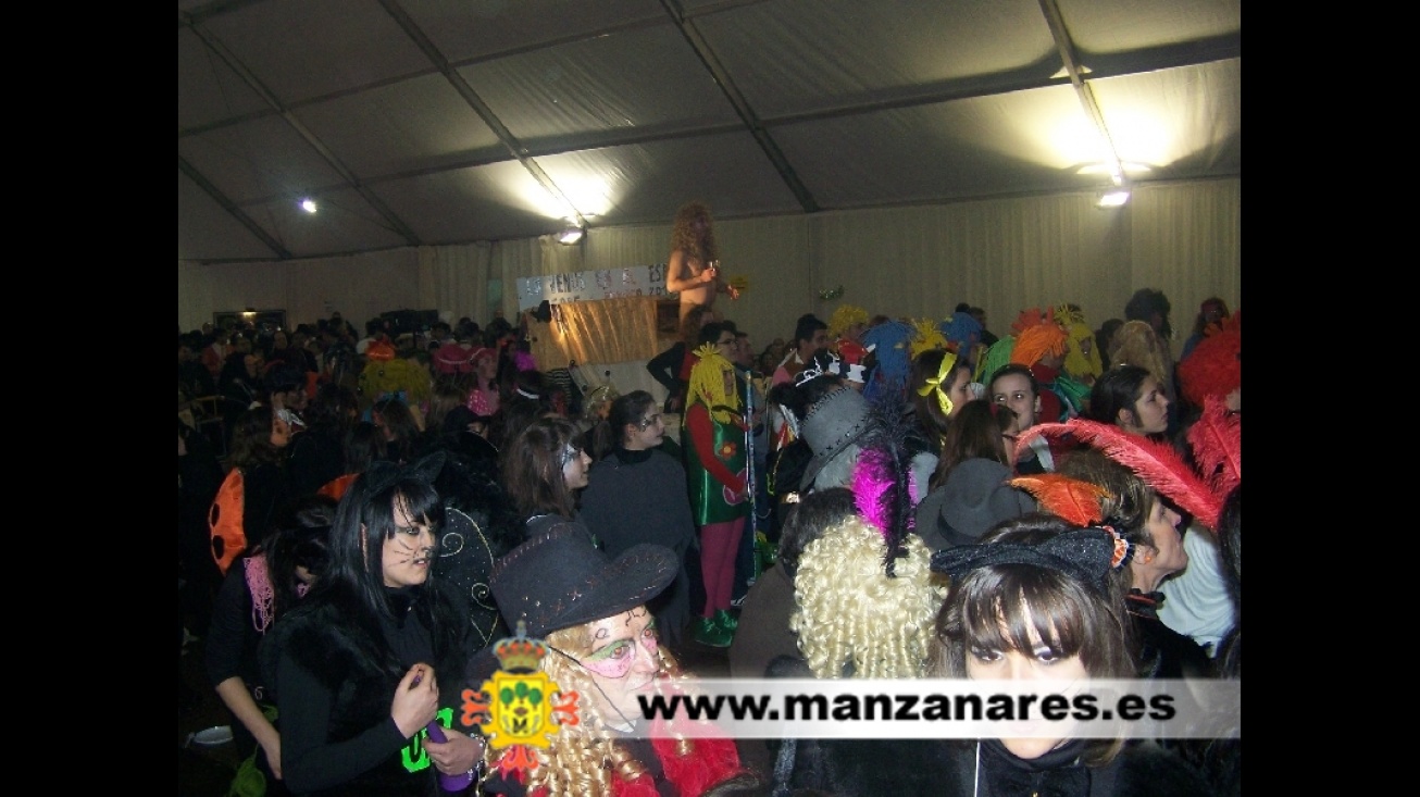 Carnaval en Manzanares